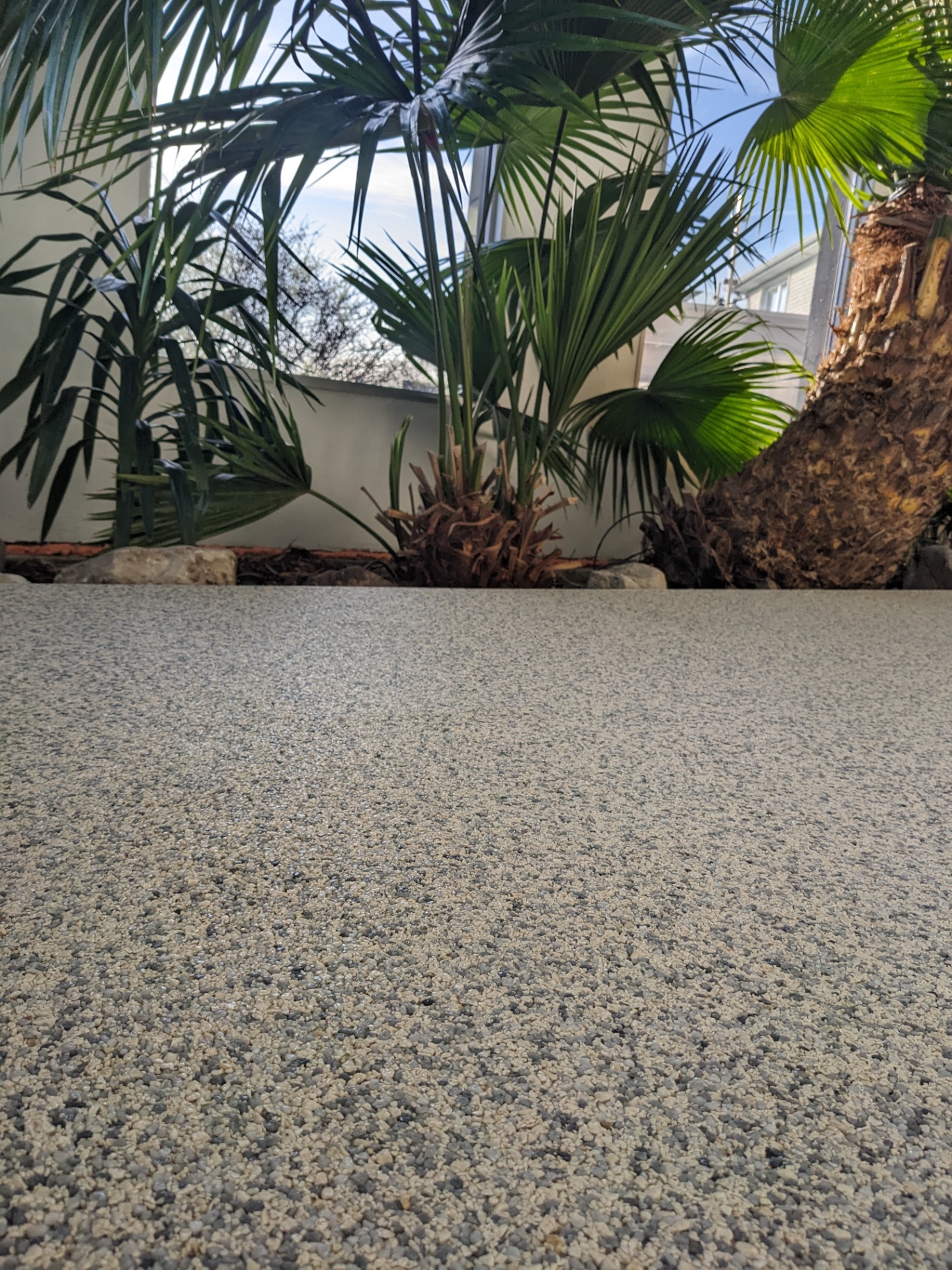 Rubber Stone patio installation with tropical plants