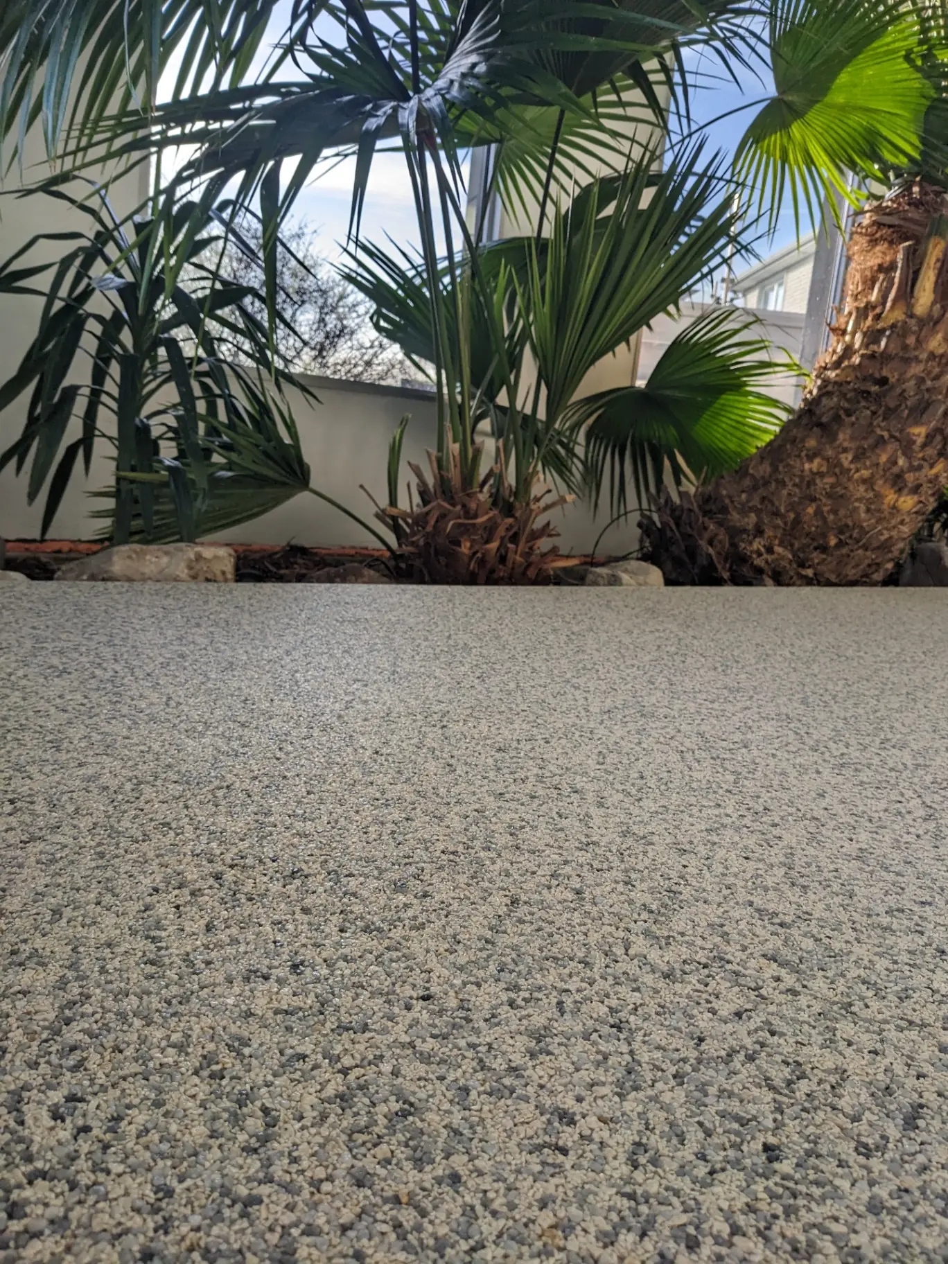 Rubber Stone patio installation with tropical plants